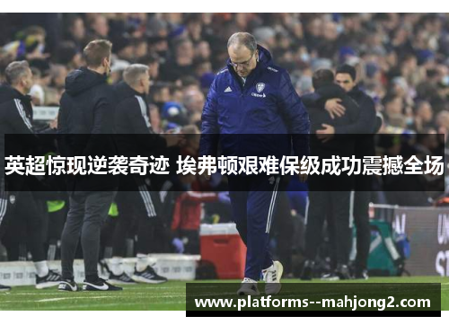 英超惊现逆袭奇迹 埃弗顿艰难保级成功震撼全场 英超惊现逆袭奇迹 埃弗顿艰难保级成功震撼全场