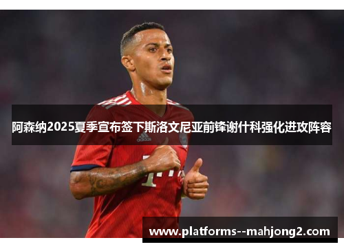 阿森纳2025夏季宣布签下斯洛文尼亚前锋谢什科强化进攻阵容 阿森纳2025夏季宣布签下斯洛文尼亚前锋谢什科强化进攻阵容