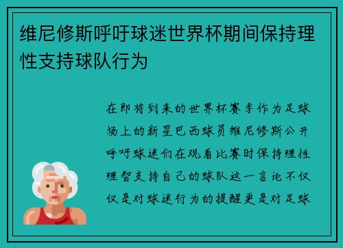维尼修斯呼吁球迷世界杯期间保持理性支持球队行为