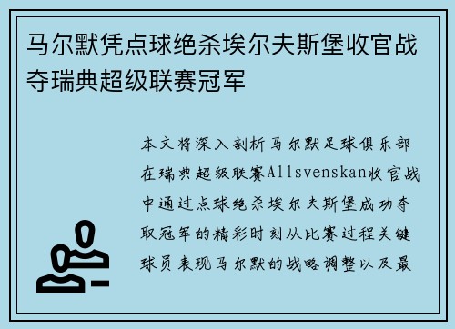 马尔默凭点球绝杀埃尔夫斯堡收官战夺瑞典超级联赛冠军